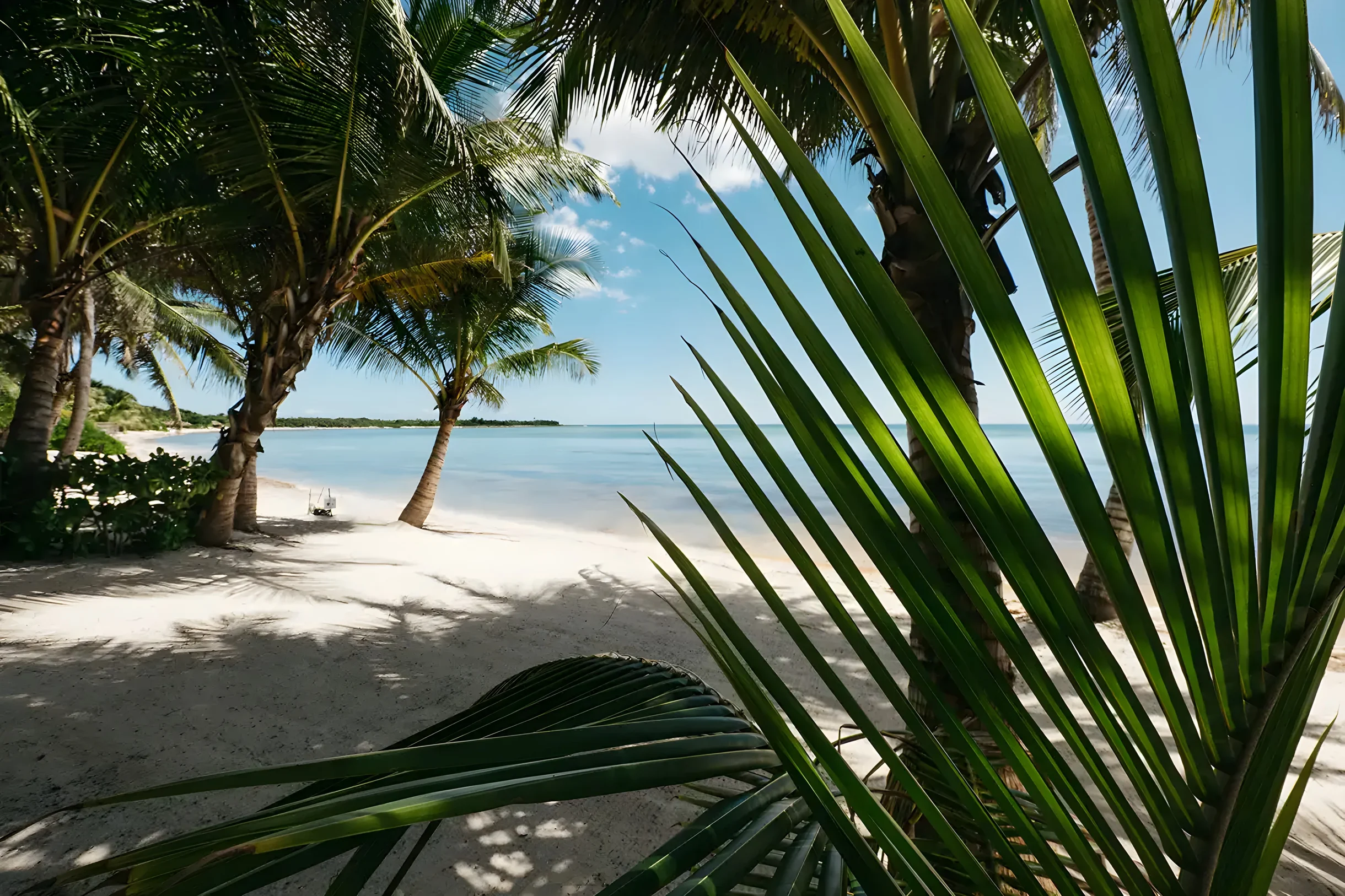 Villa La Semilla • 5BR Beachfront w/ Chef #55