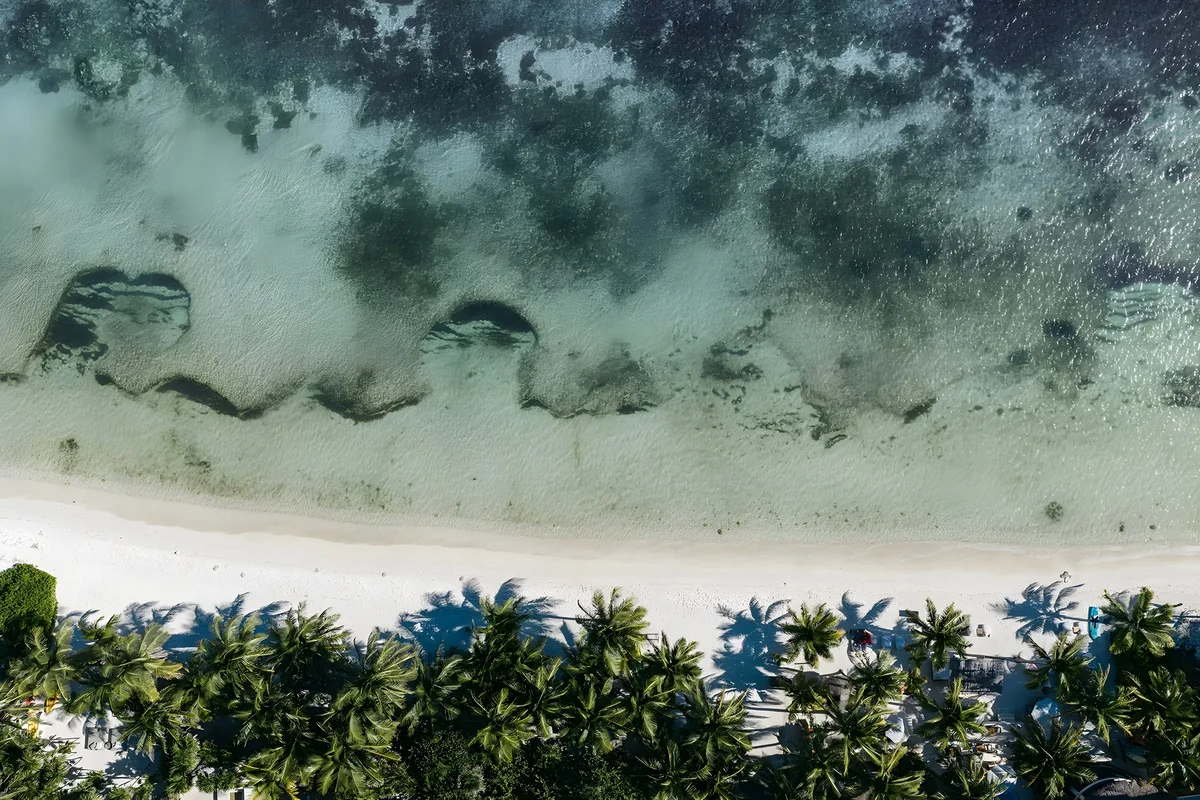 Villa La Semilla • 5BR Beachfront w/ Chef