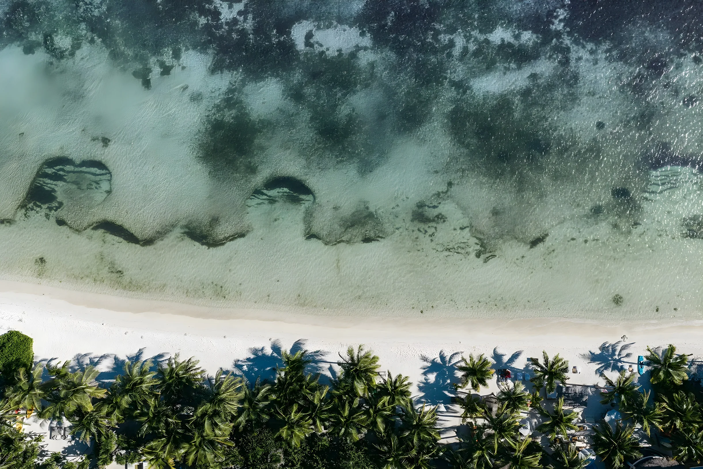 Villa La Semilla • 5BR Beachfront w/ Chef #5