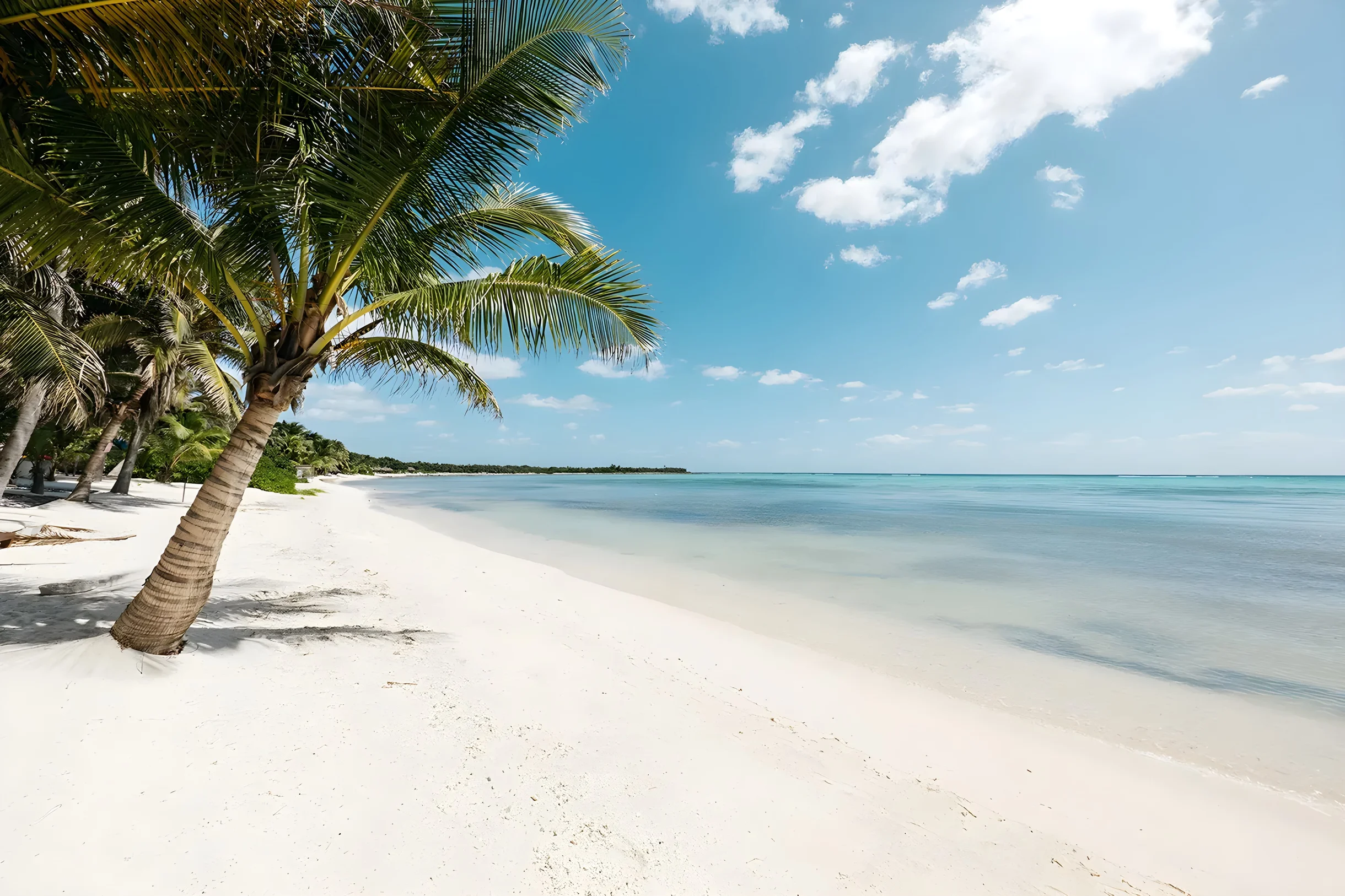 Villa La Semilla • 5BR Beachfront w/ Chef #69