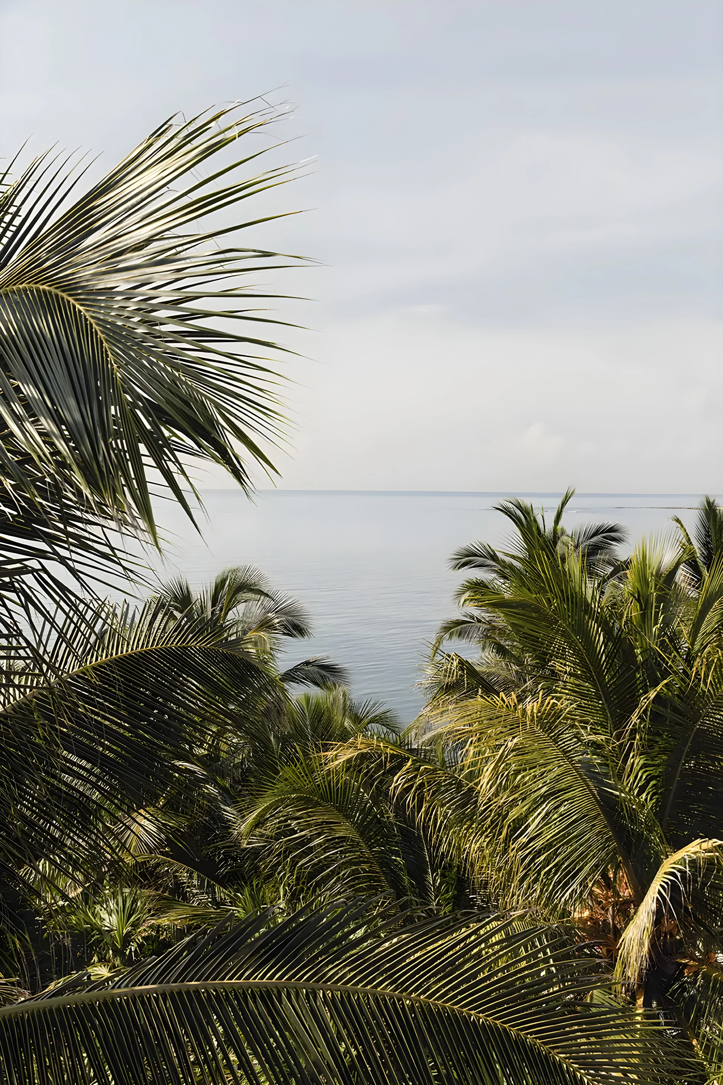 Villa La Semilla • 5BR Beachfront w/ Chef #58