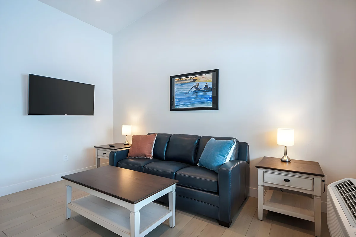 LIVING ROOM image 1