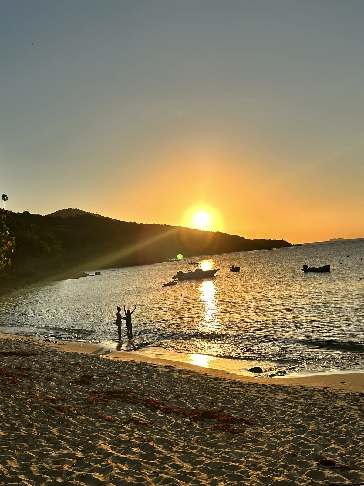 Noella's Mountain Top - PANORAMIC OCEAN VIEWS #16