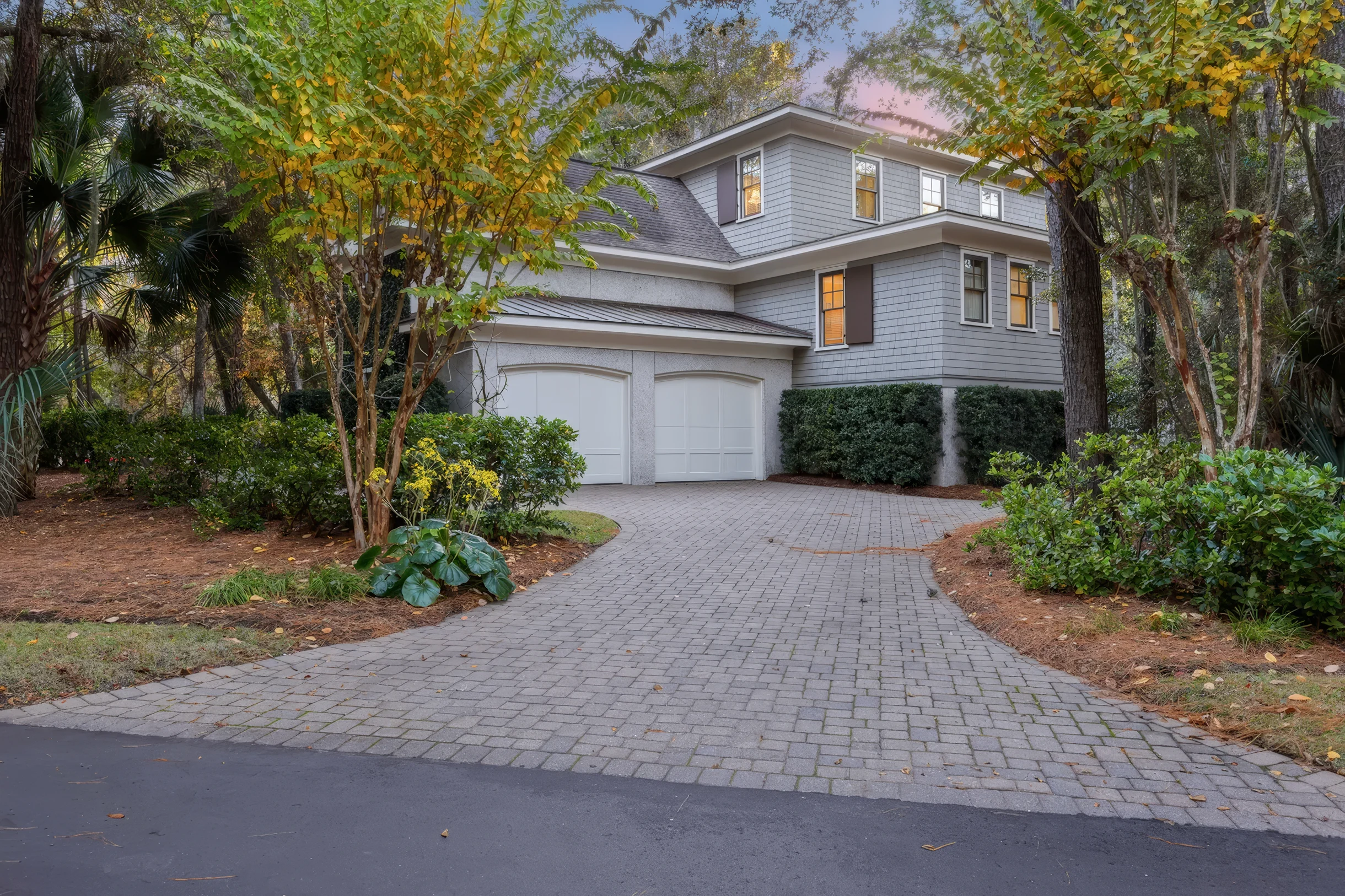 Wander Kiawah Island Woods #2