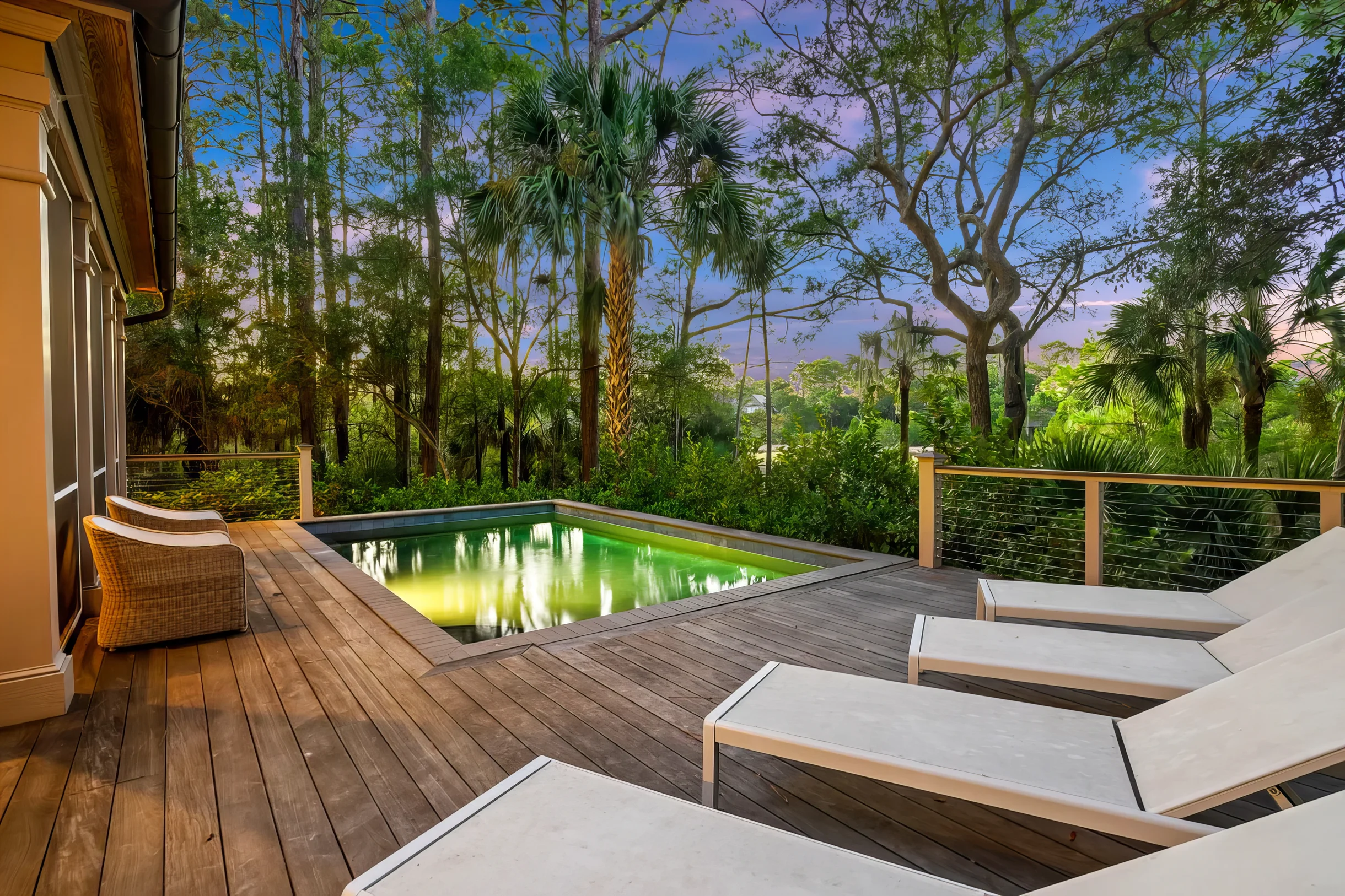 Wander Kiawah Herons #2