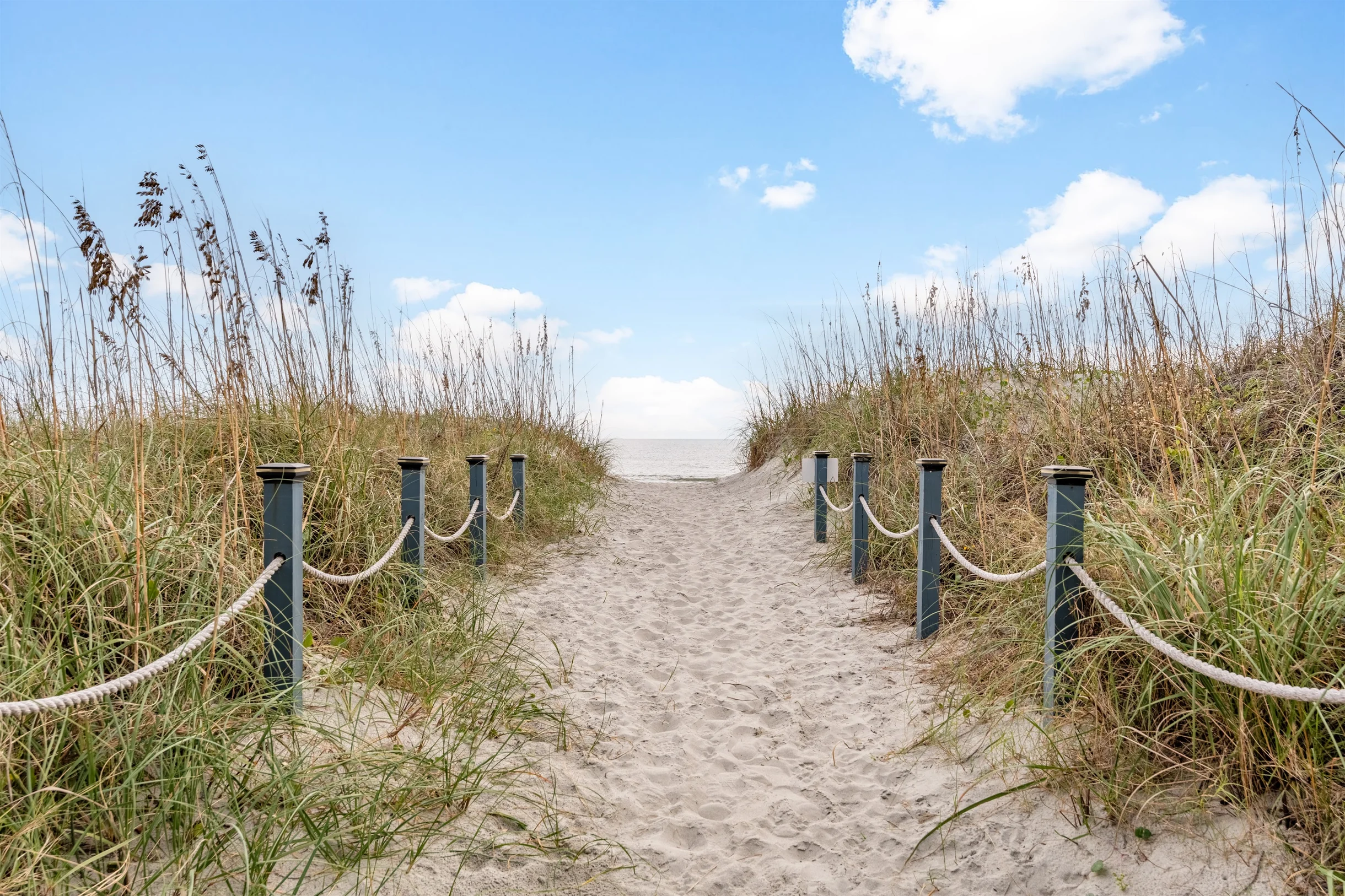 Wander Myrtle Beach Swash #44