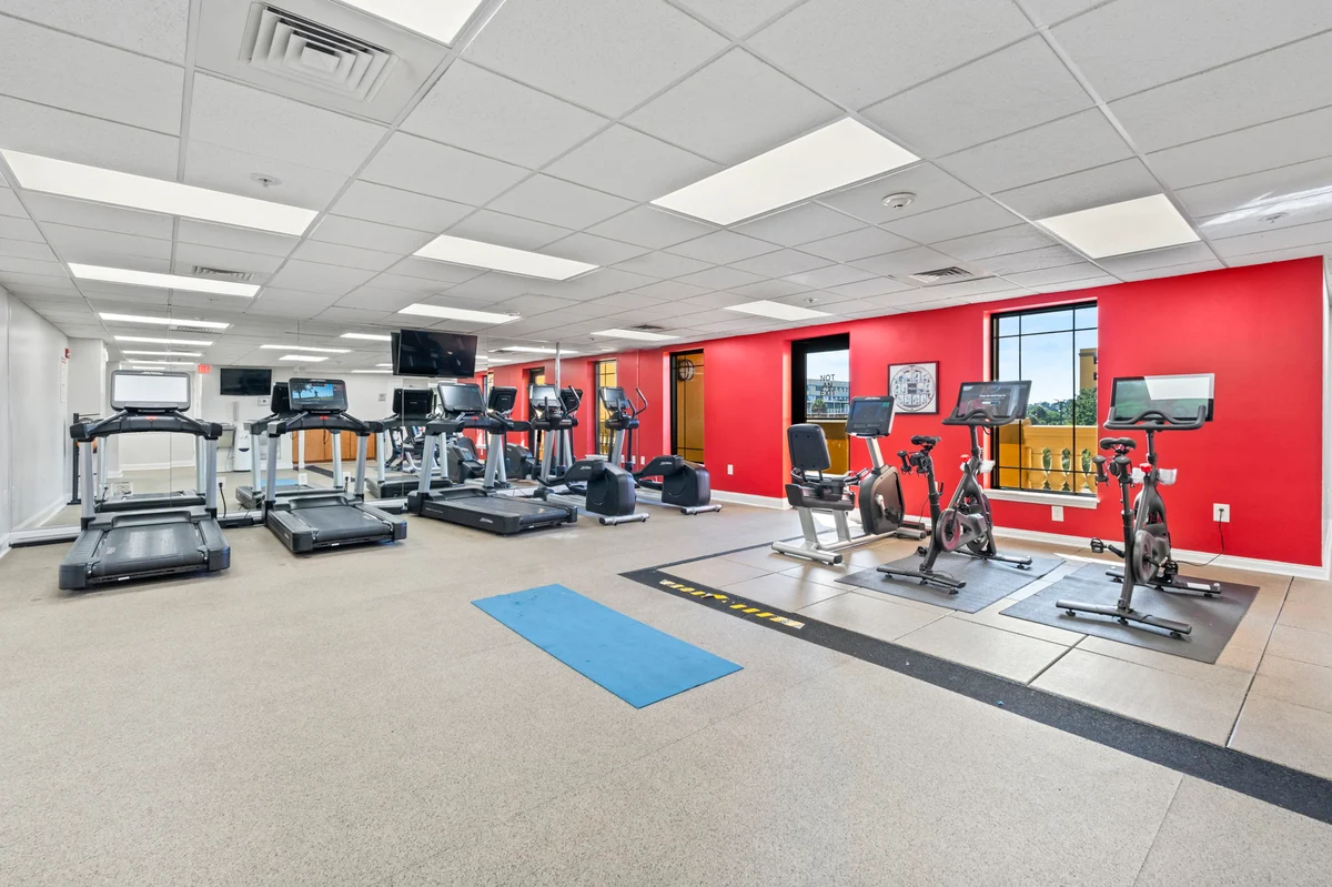 Wander Myrtle Beach Strand #48