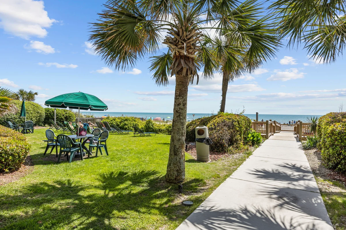 Wander Grand Strand #29