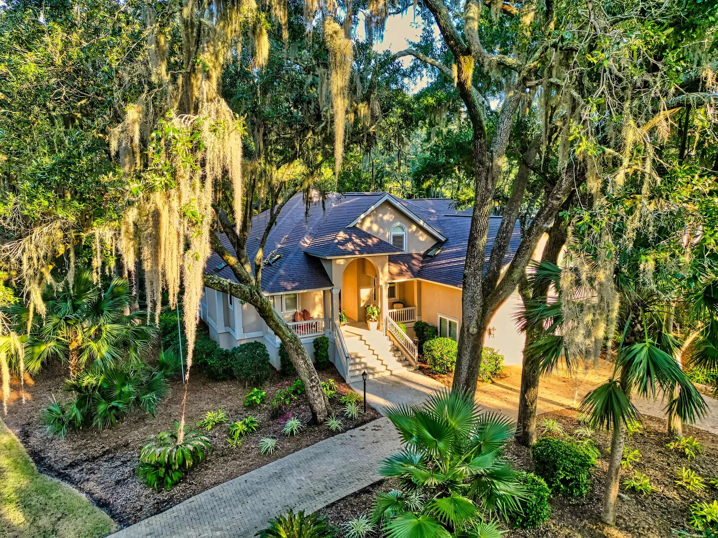 Wander Hilton Head Dolphins #3