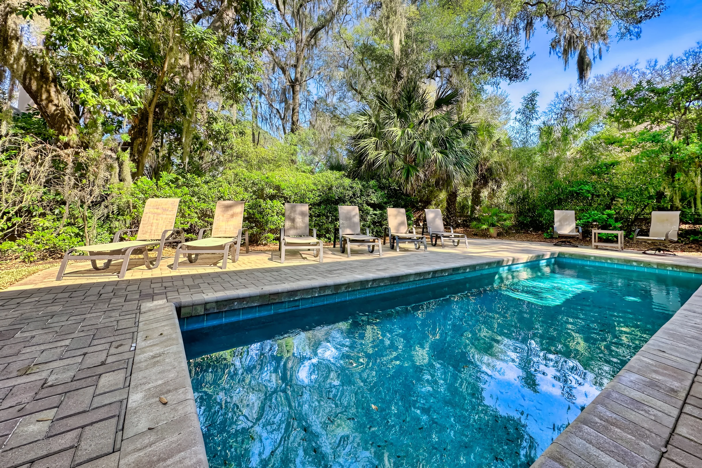 Wander Hilton Head Dolphins #5