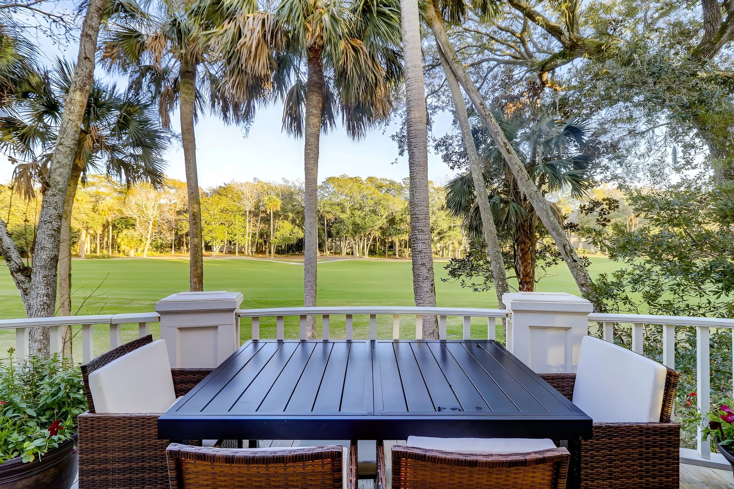 Wander Kiawah Palms #2