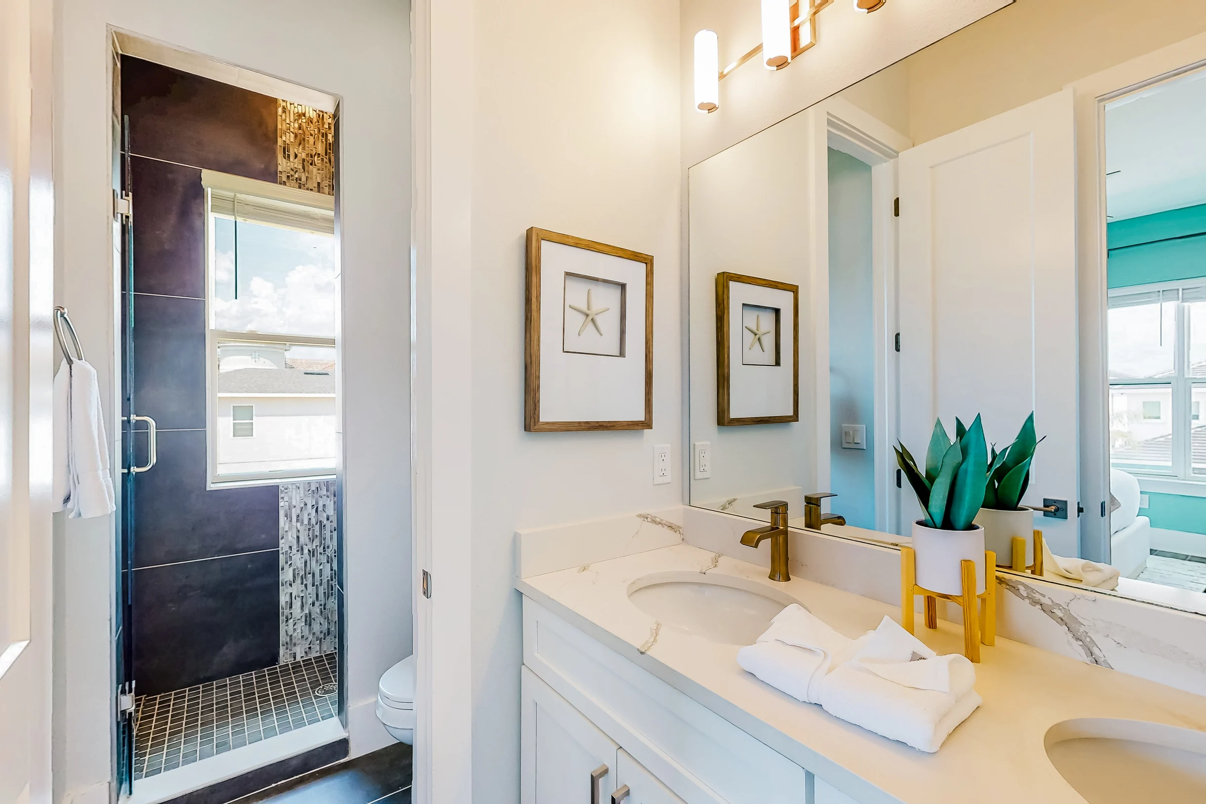 Wander Desert Mountain Vista