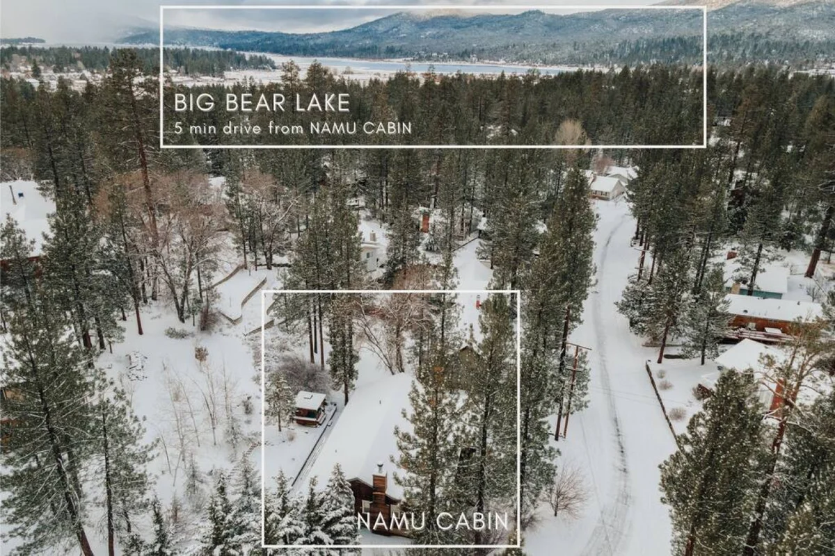 NAMU CABIN • Modern Chic Design • Spa & Gameroom #108
