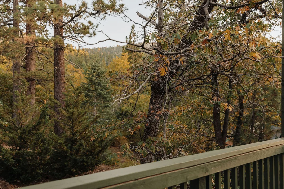 Rockspray Designer Retreat| Deck, Arcade Games, AC #90