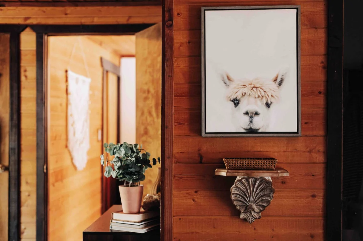 TOP RATED Boho Mountain Retreat: Pet-Friendly! #112