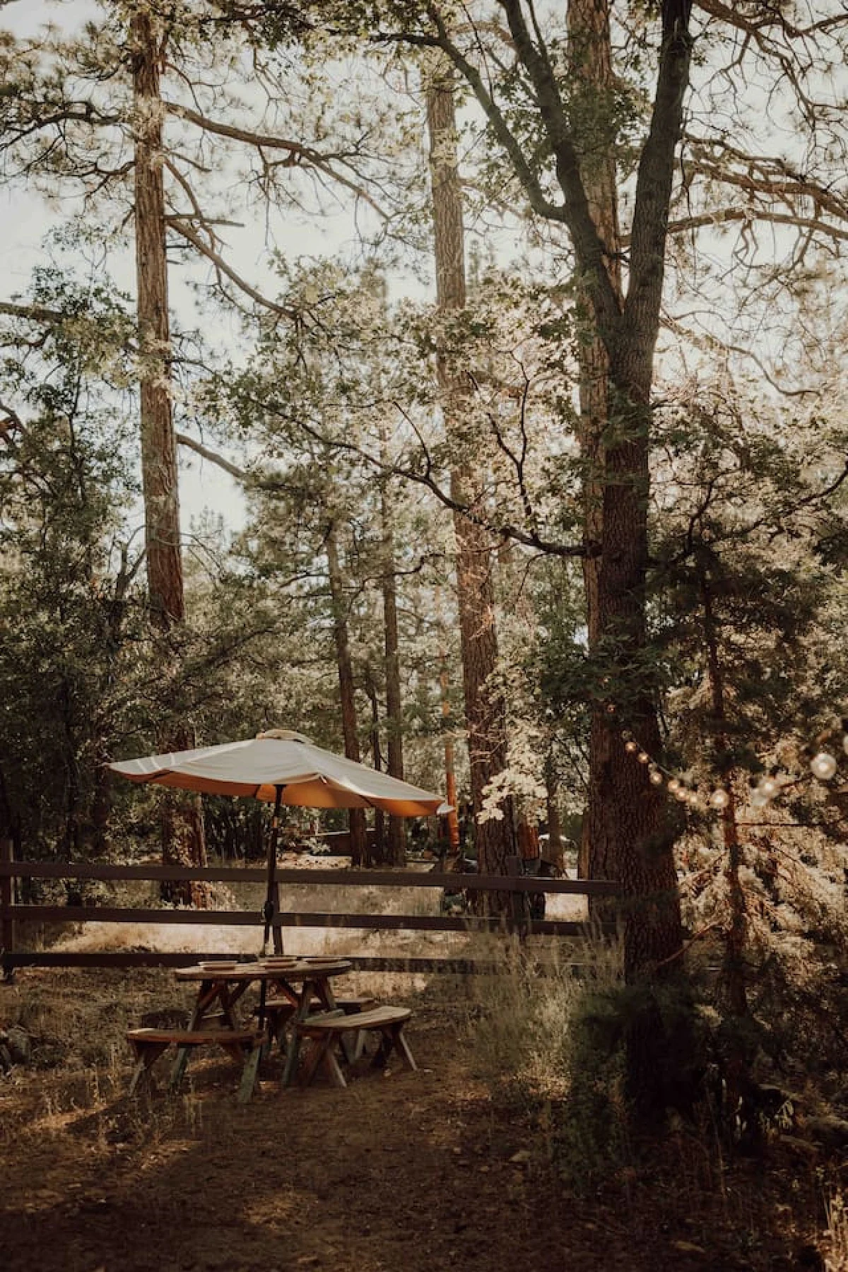 Vintage Mountain Retreat: Trendy Cabin, Loft #94