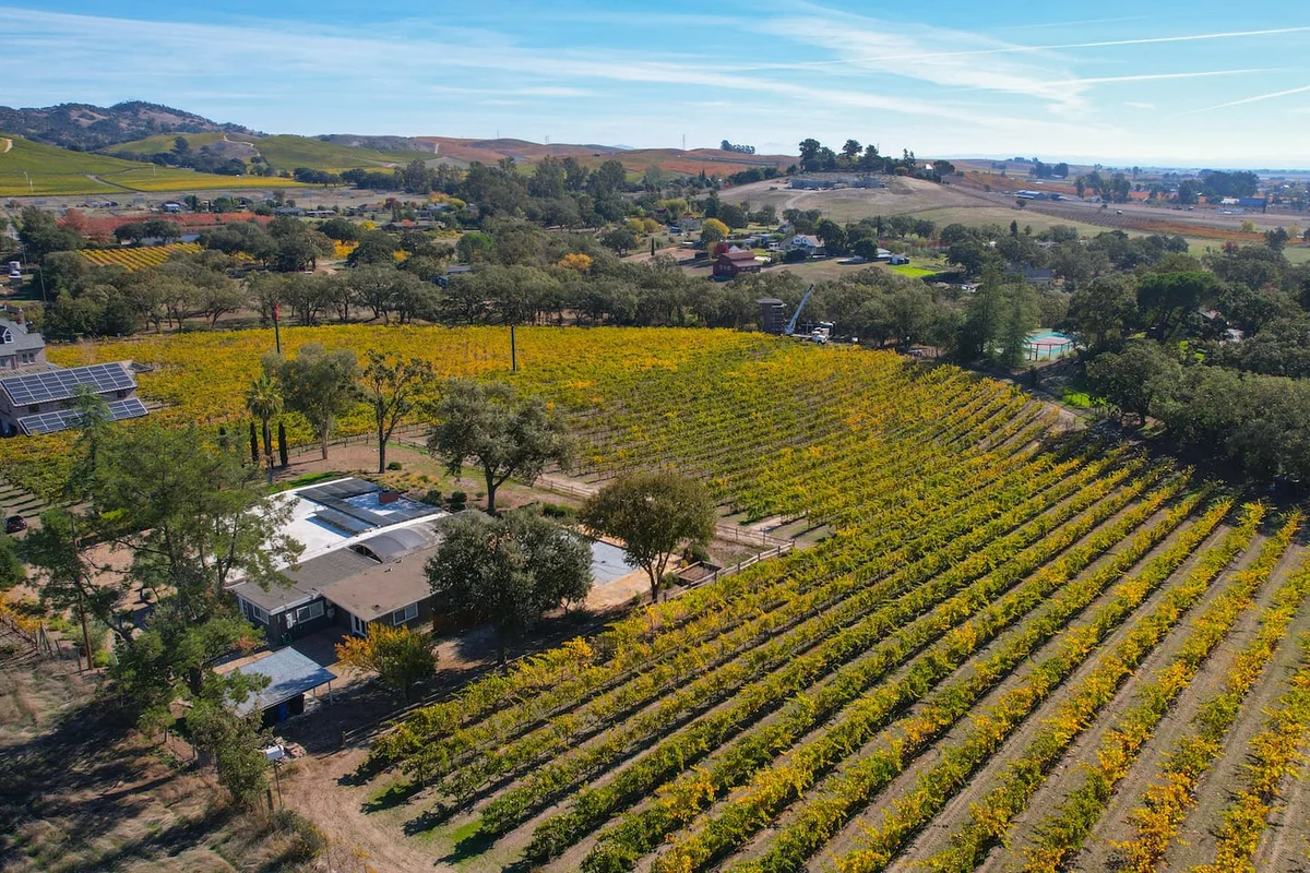 Chardonnay View #17