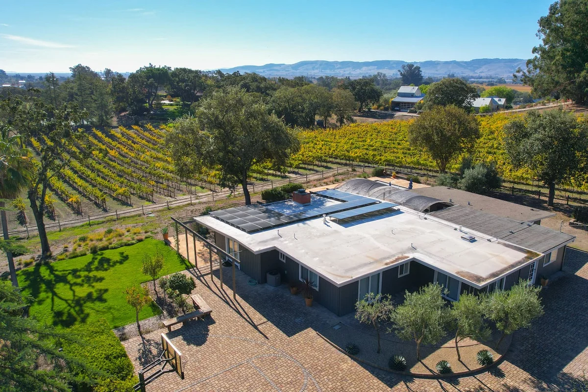 Chardonnay View #34