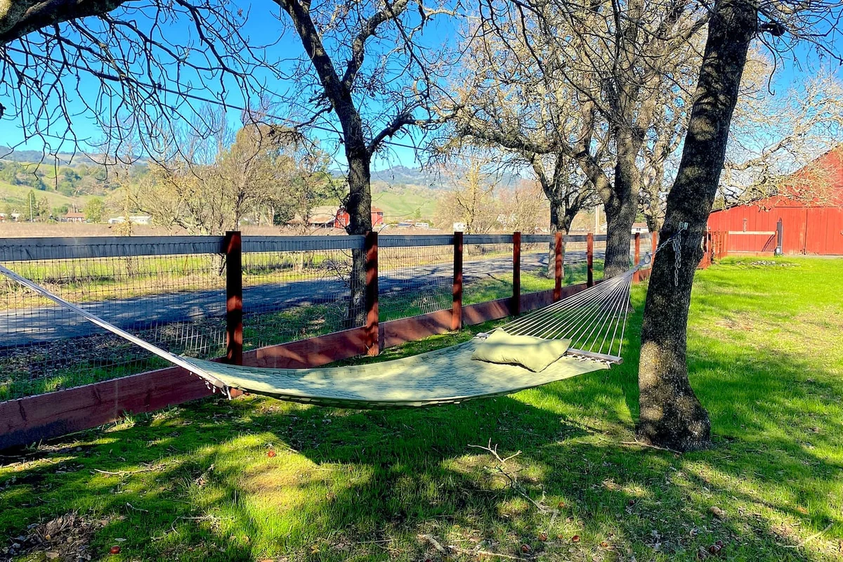 Home in Sonoma property photo 2