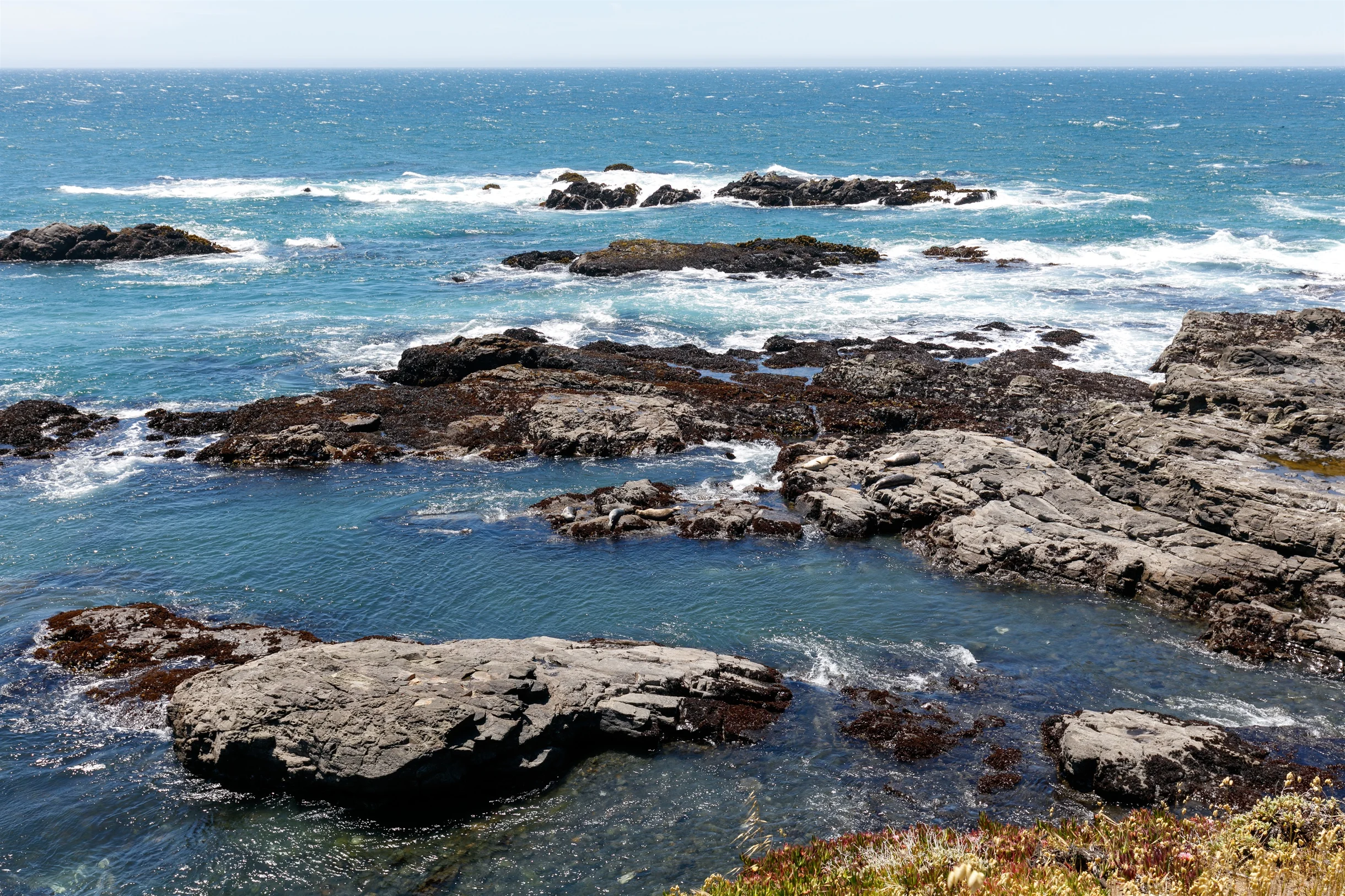 Wander Sea Ranch Bluffs