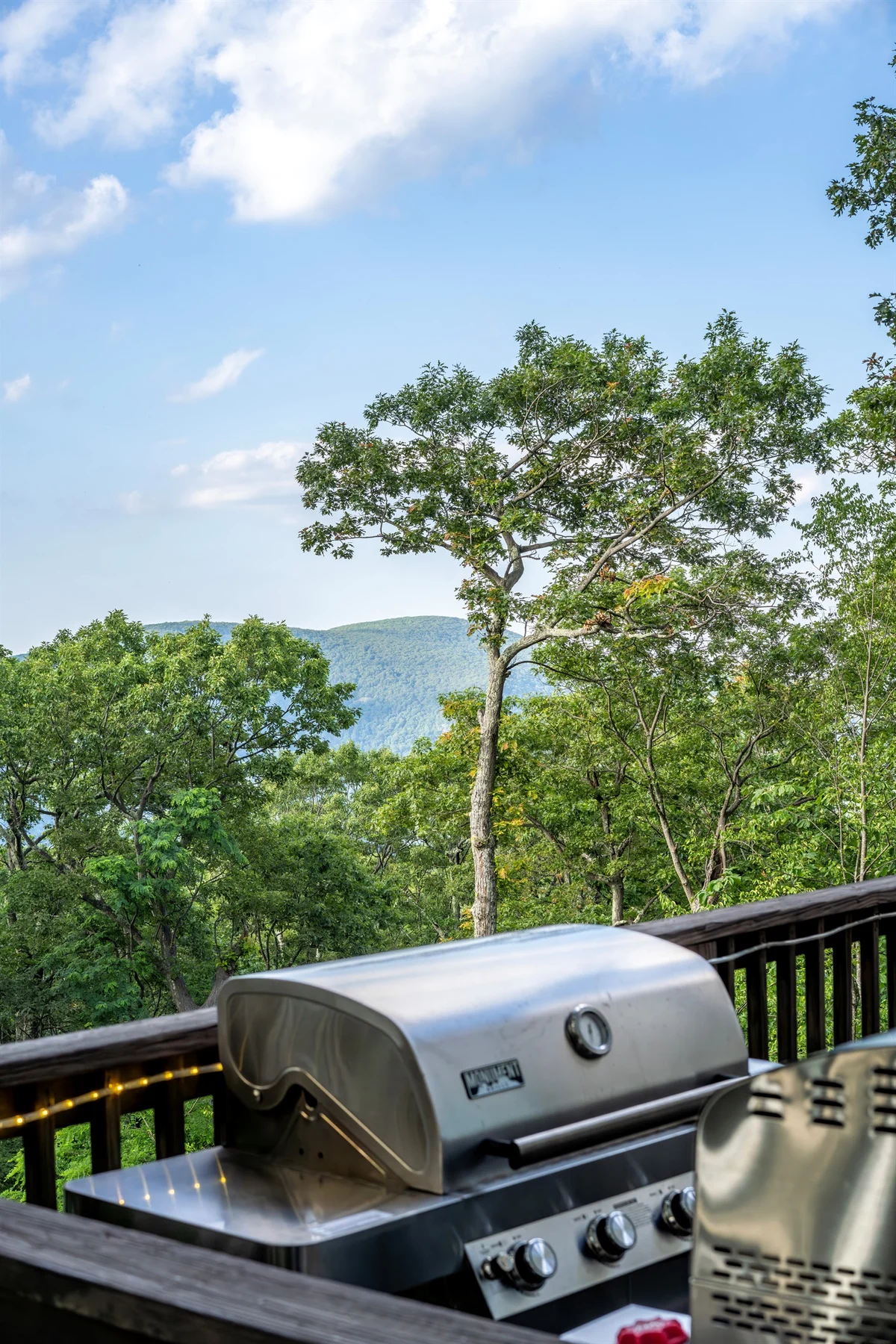 FamilyFun+Wellness:HotTub Sauna Massage Chair #96