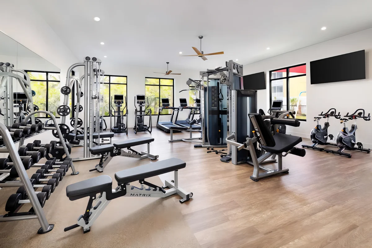 Wander Orlando Coaster