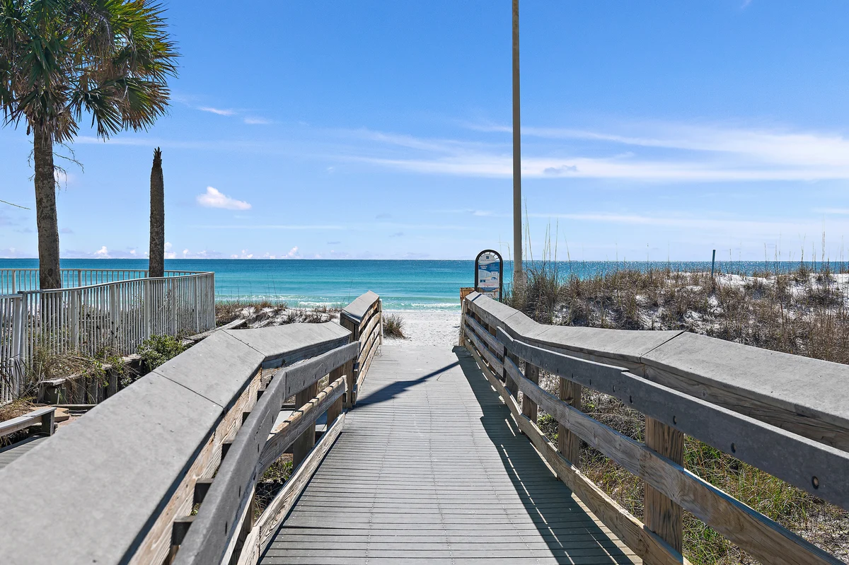 Wander Miramar Reefs #45