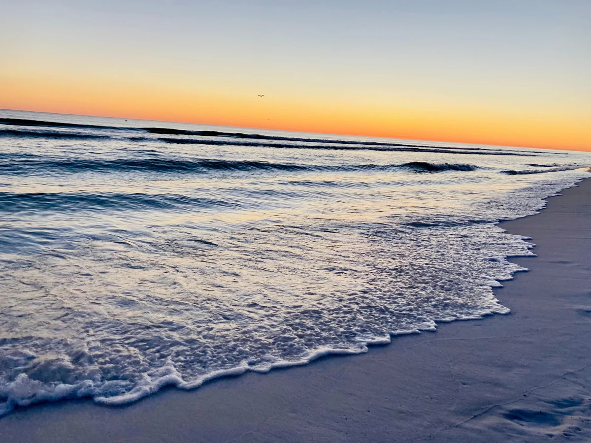 Wander Miramar Reefs