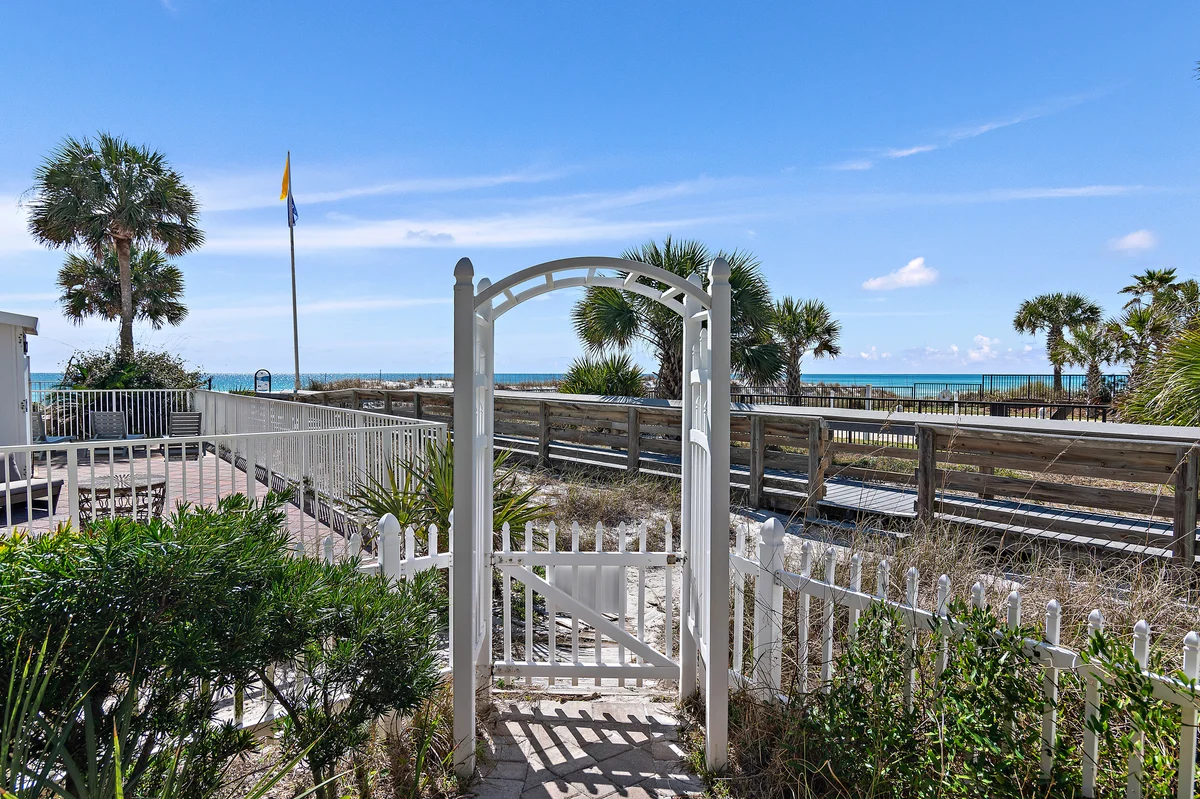 Wander Miramar Reefs #98