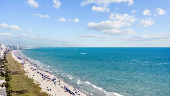 Wander North Myrtle Crest