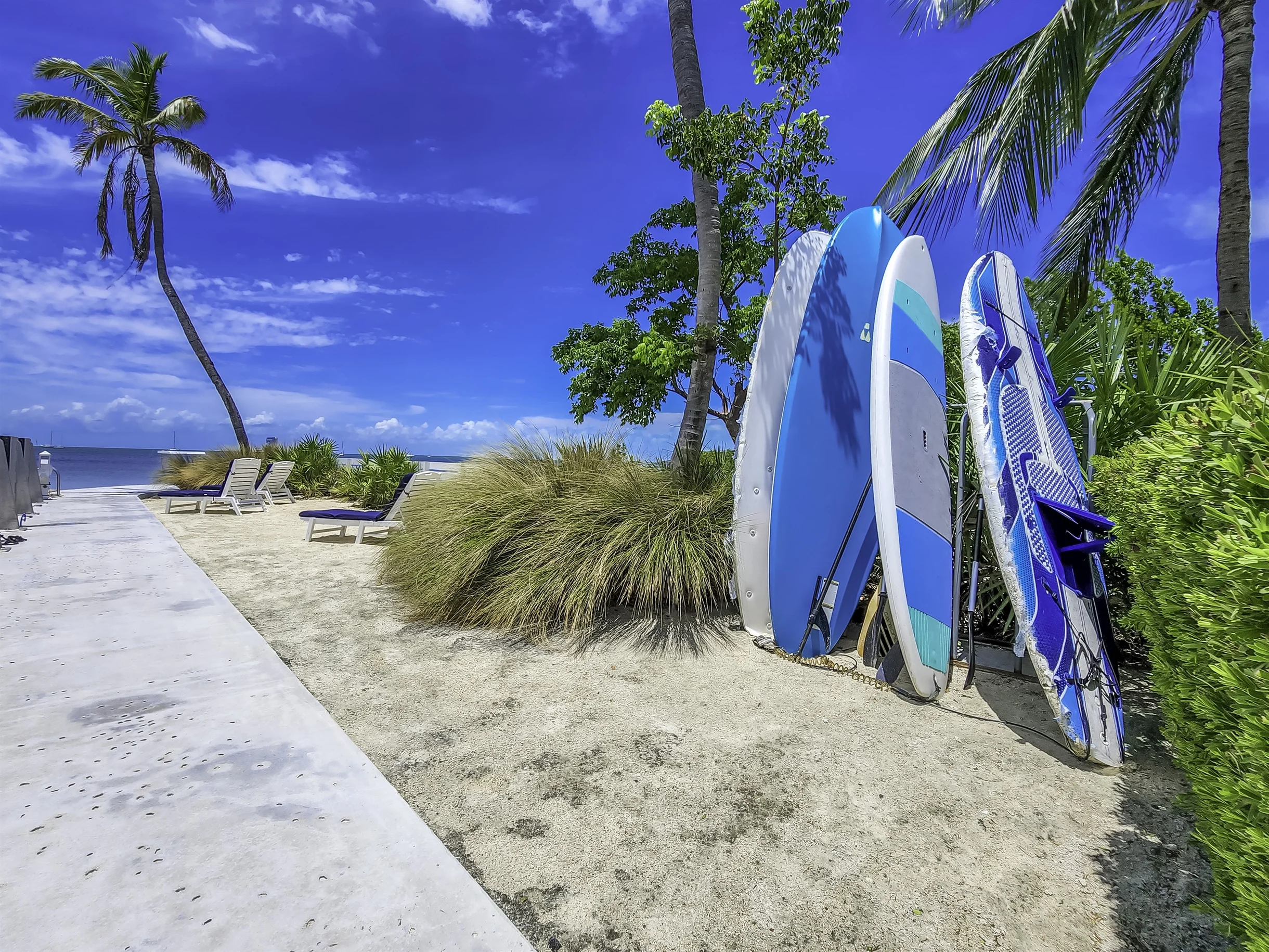 Wander Islamorada Drift #3
