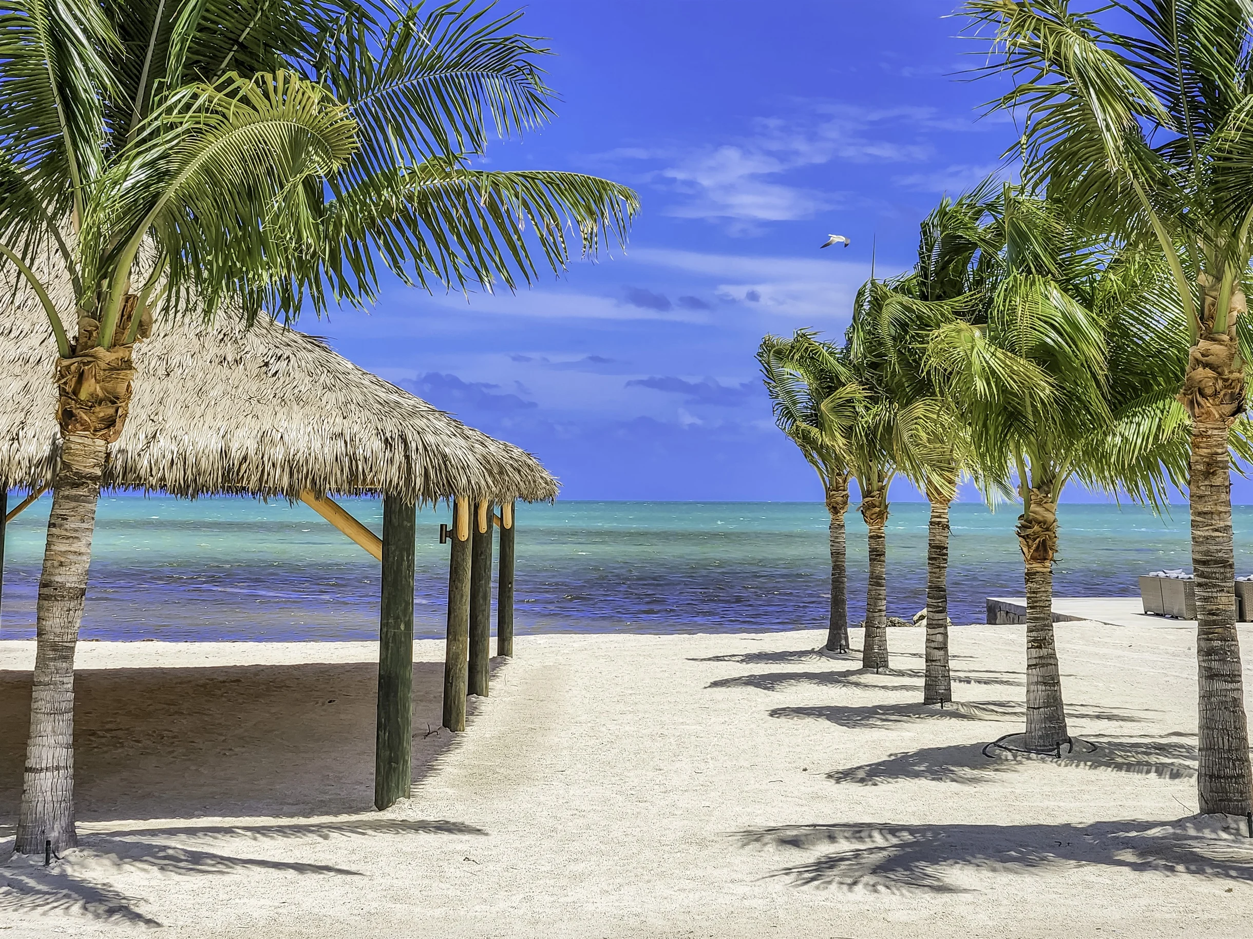 Wander Islamorada Lagoon #16