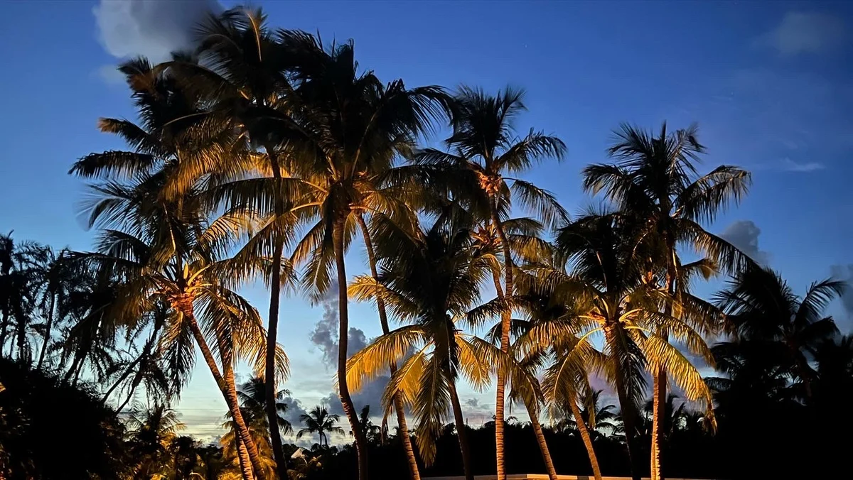 Wander Islamorada Lagoon #38
