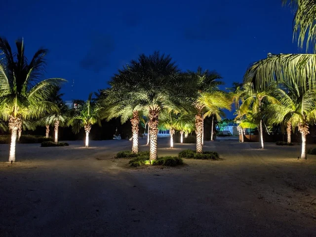 Wander Islamorada Lagoon #10