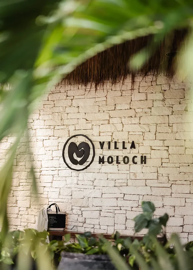 Villa Moloch, Tulum – Chef Included #32