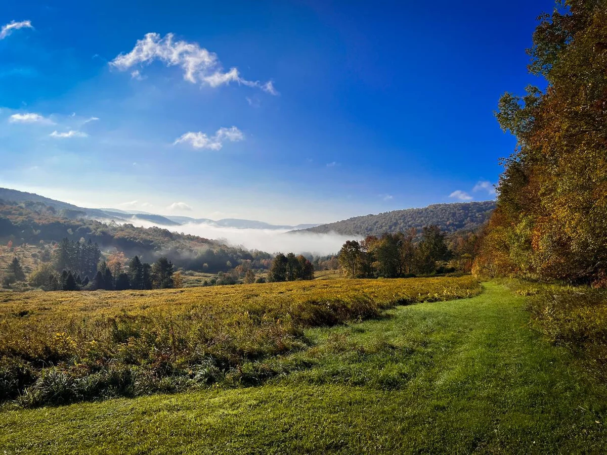 4 Season Adventure Hub • Hiking, Views & Campfires #26