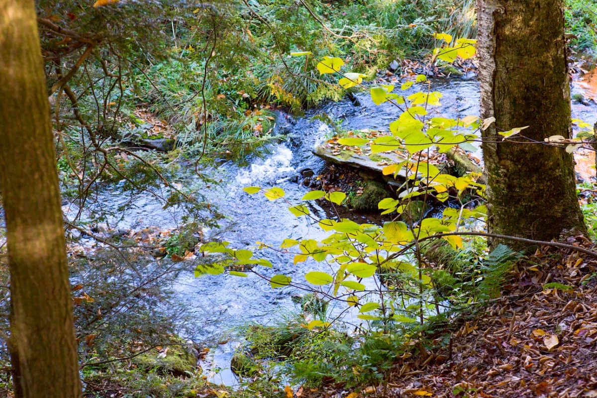 Cozy 6BR Catskills Getaway with Hot Tub #38