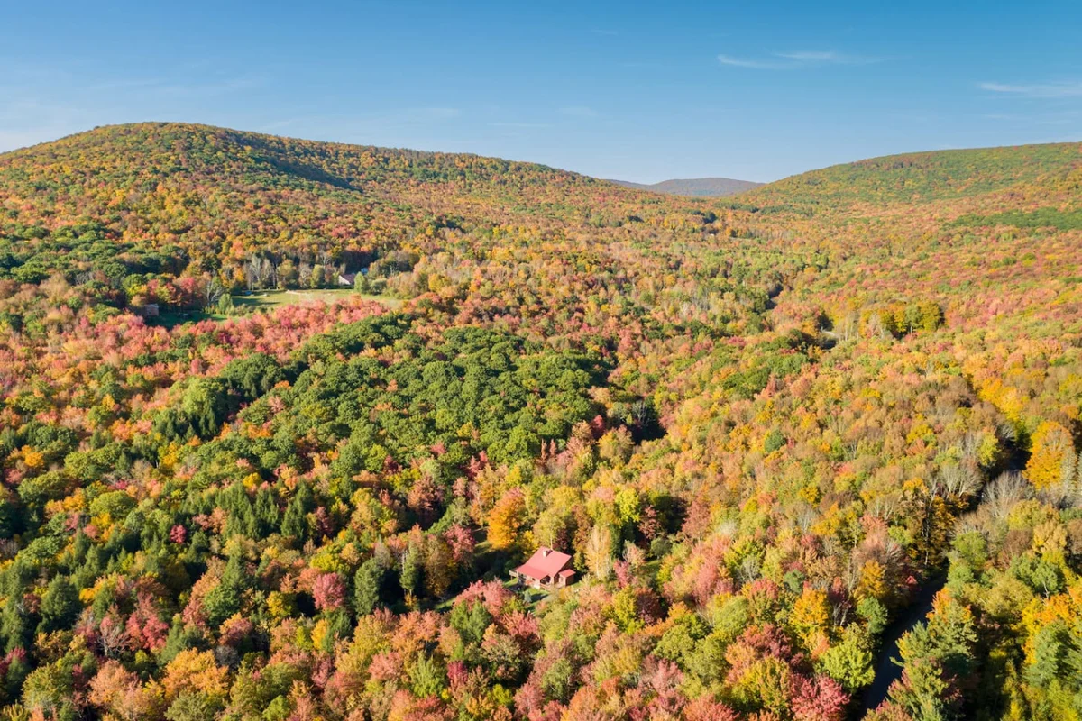 Cozy 6BR Catskills Getaway with Hot Tub #42