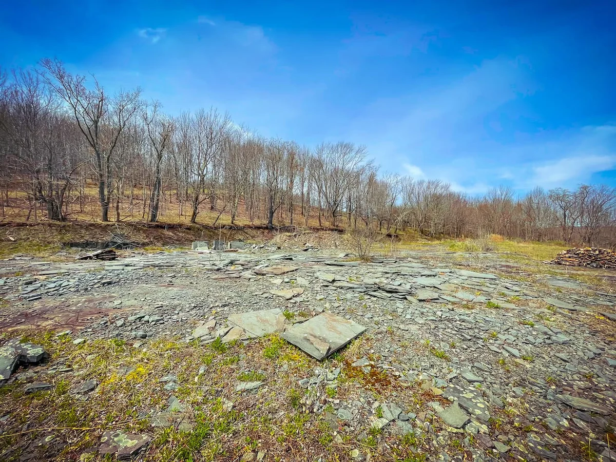 Cozy Catskills • Panoramic Views & Year-Round Fun #46
