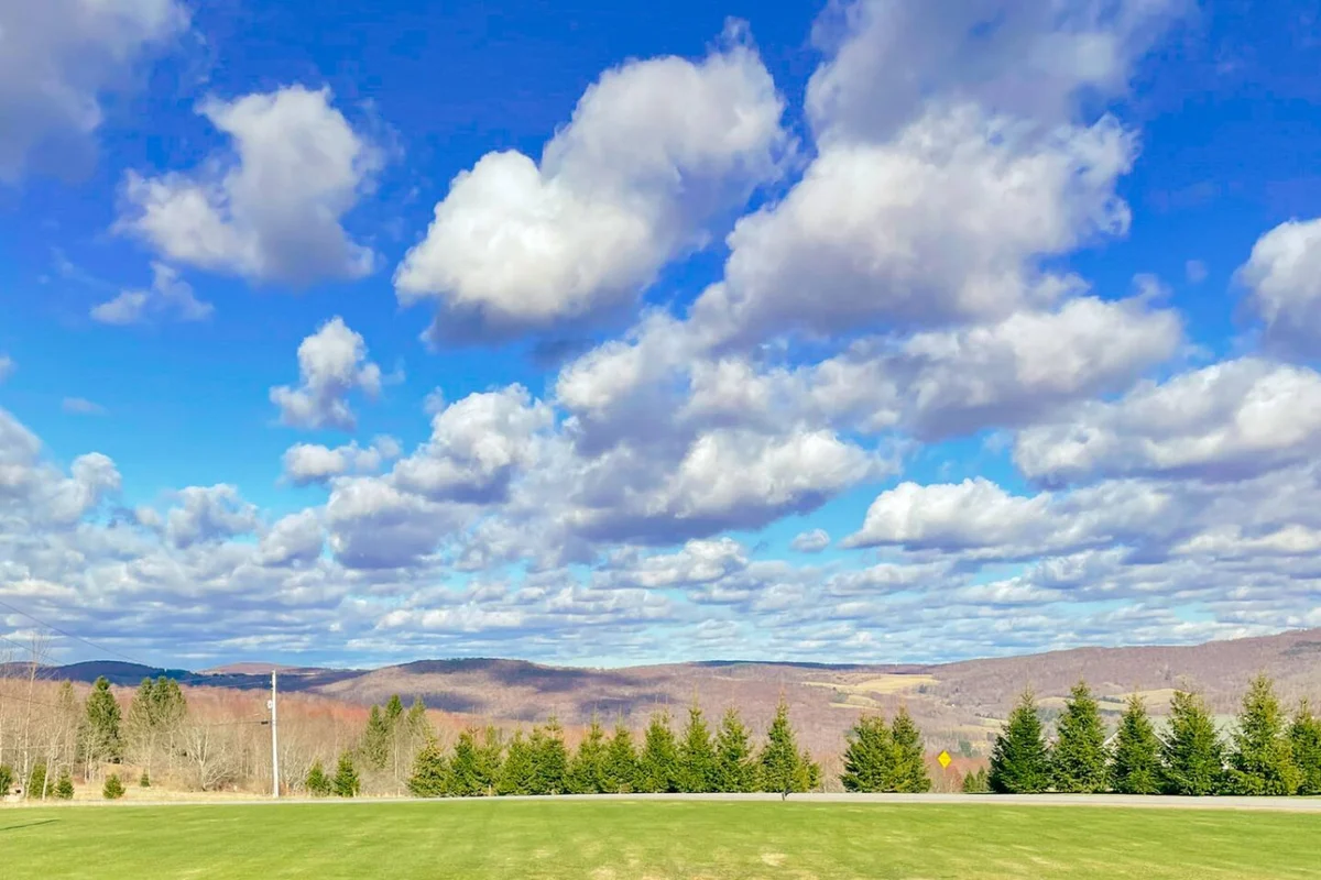 Cozy Catskills • Panoramic Views & Year-Round Fun #37