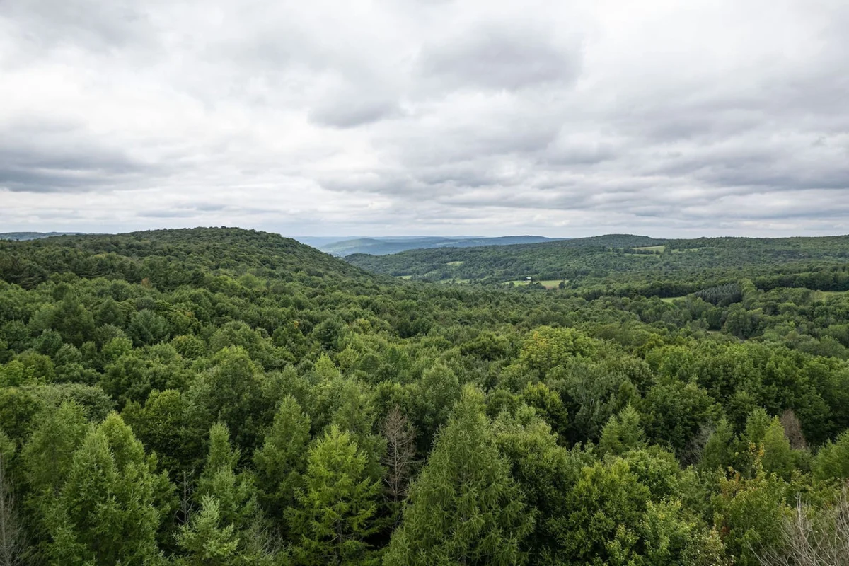 Cozy Year Round Getaway • Private Catskills Cabin #4