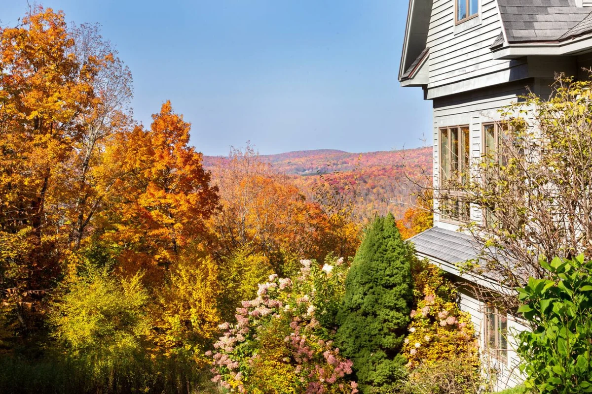 Stars, Sky & Mountain Views • Modern Upstate Stay #9