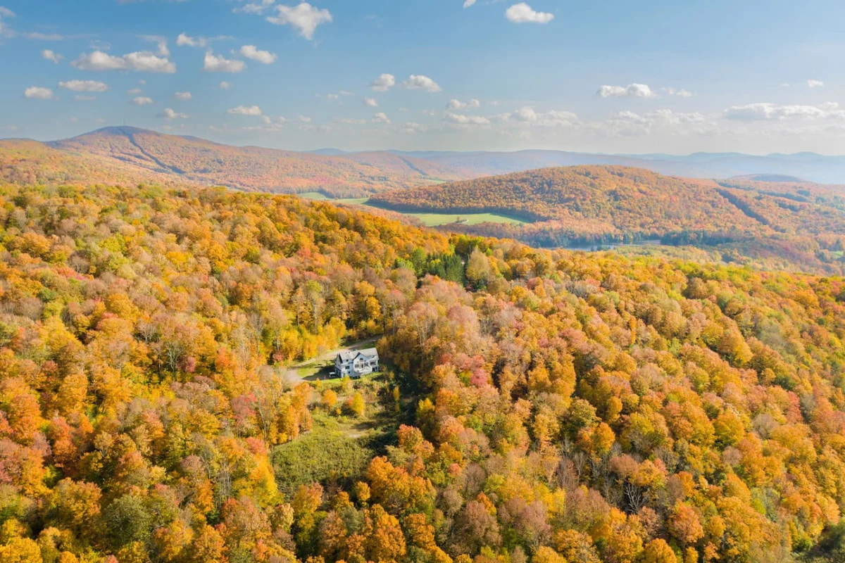 Stars, Sky & Mountain Views • Modern Upstate Stay #11