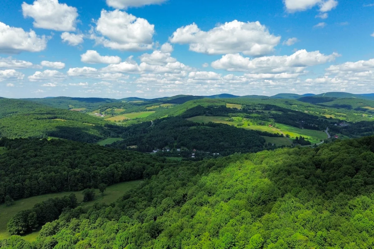 Stars, Sky & Mountain Views • Modern Upstate Stay #8