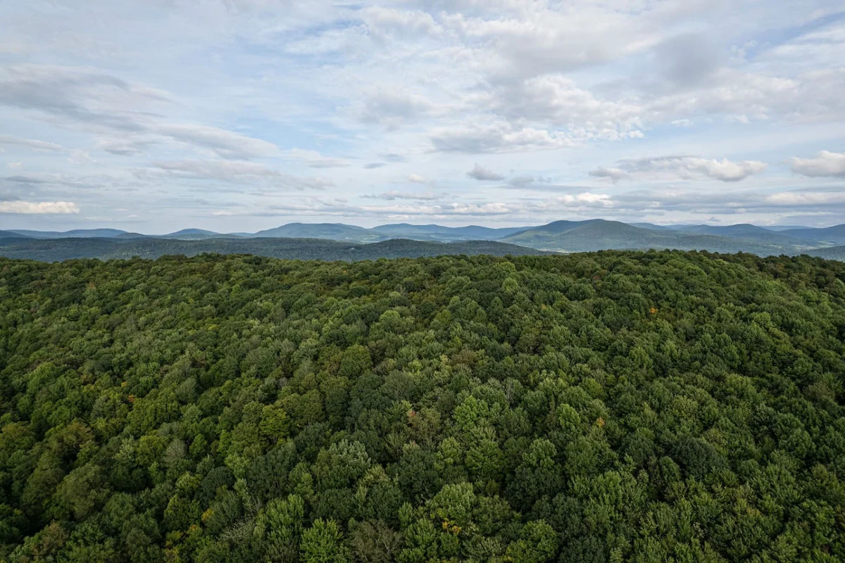 Upstate Getaway • Starry Skies and Nature #30