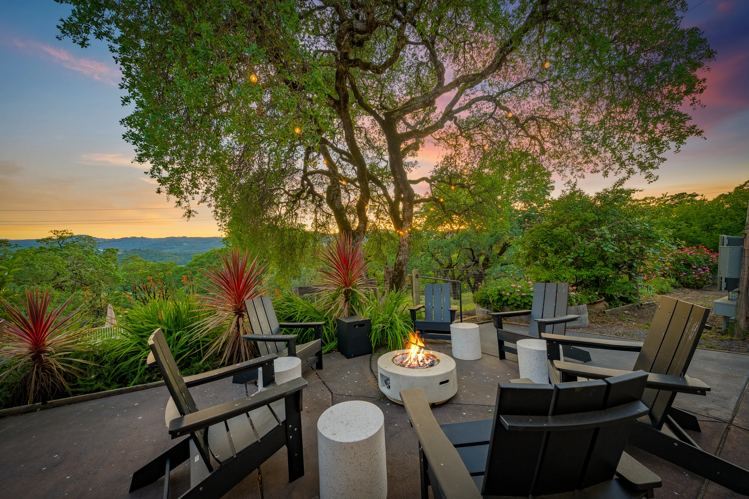 Wander Alexander Valley #48