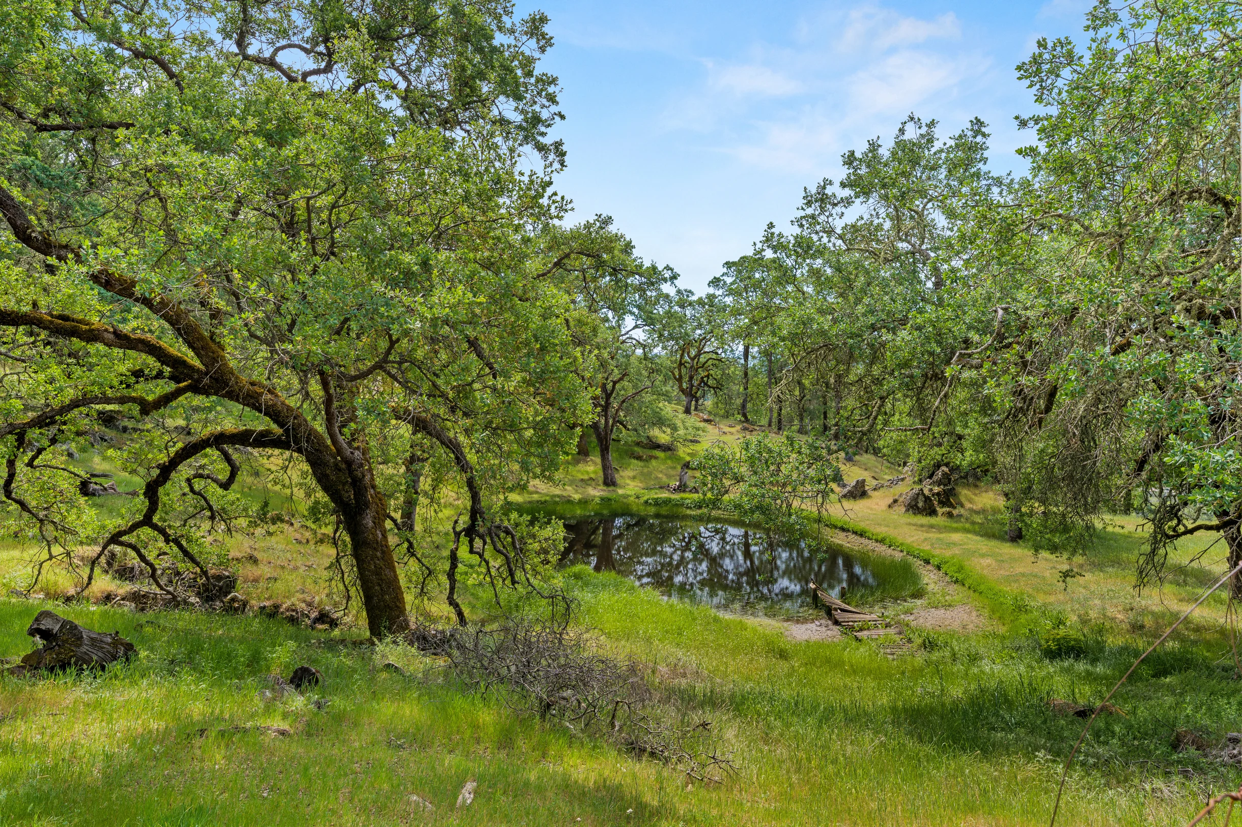 Wander Alexander Valley #103
