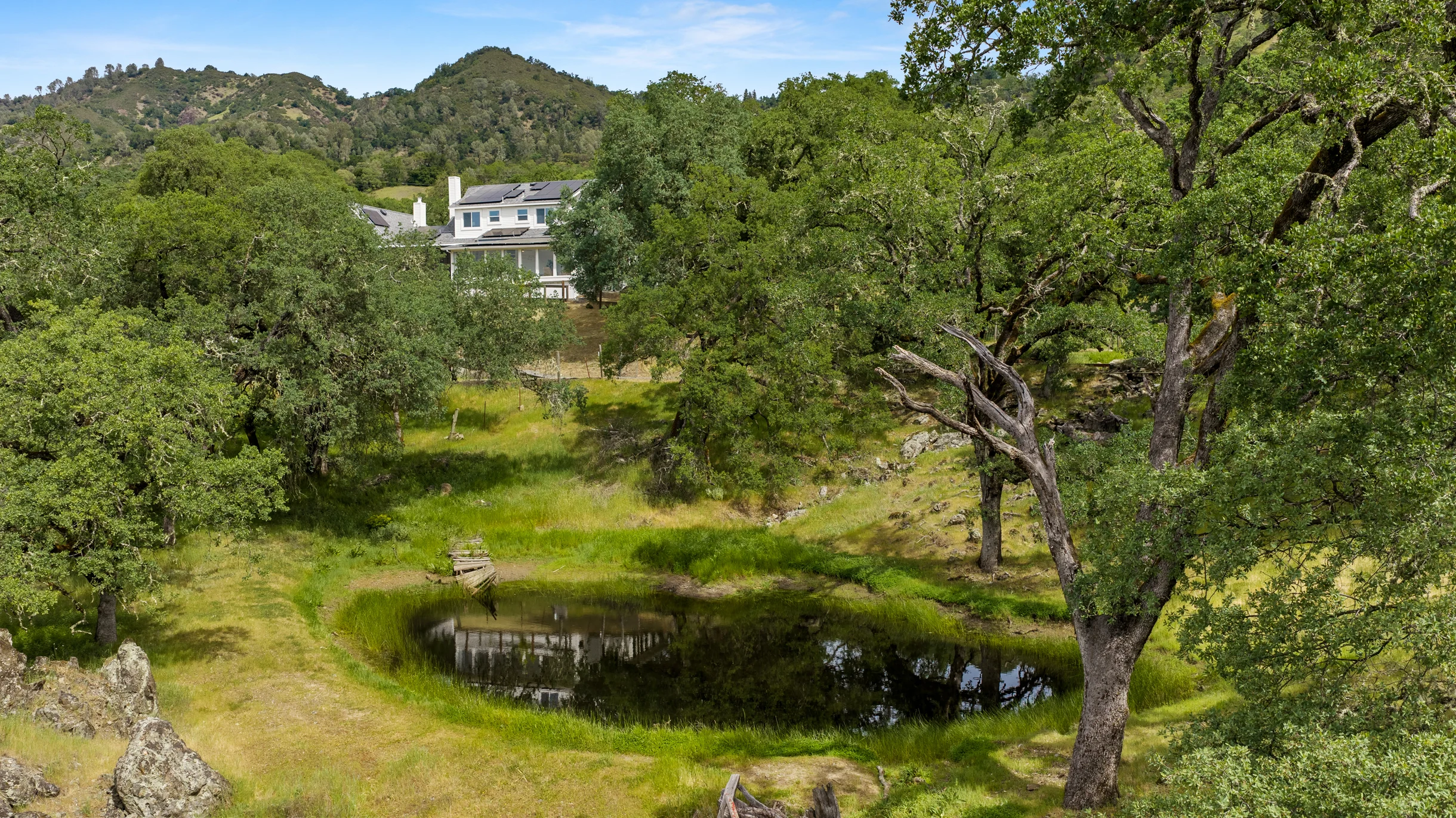 Wander Alexander Valley #116