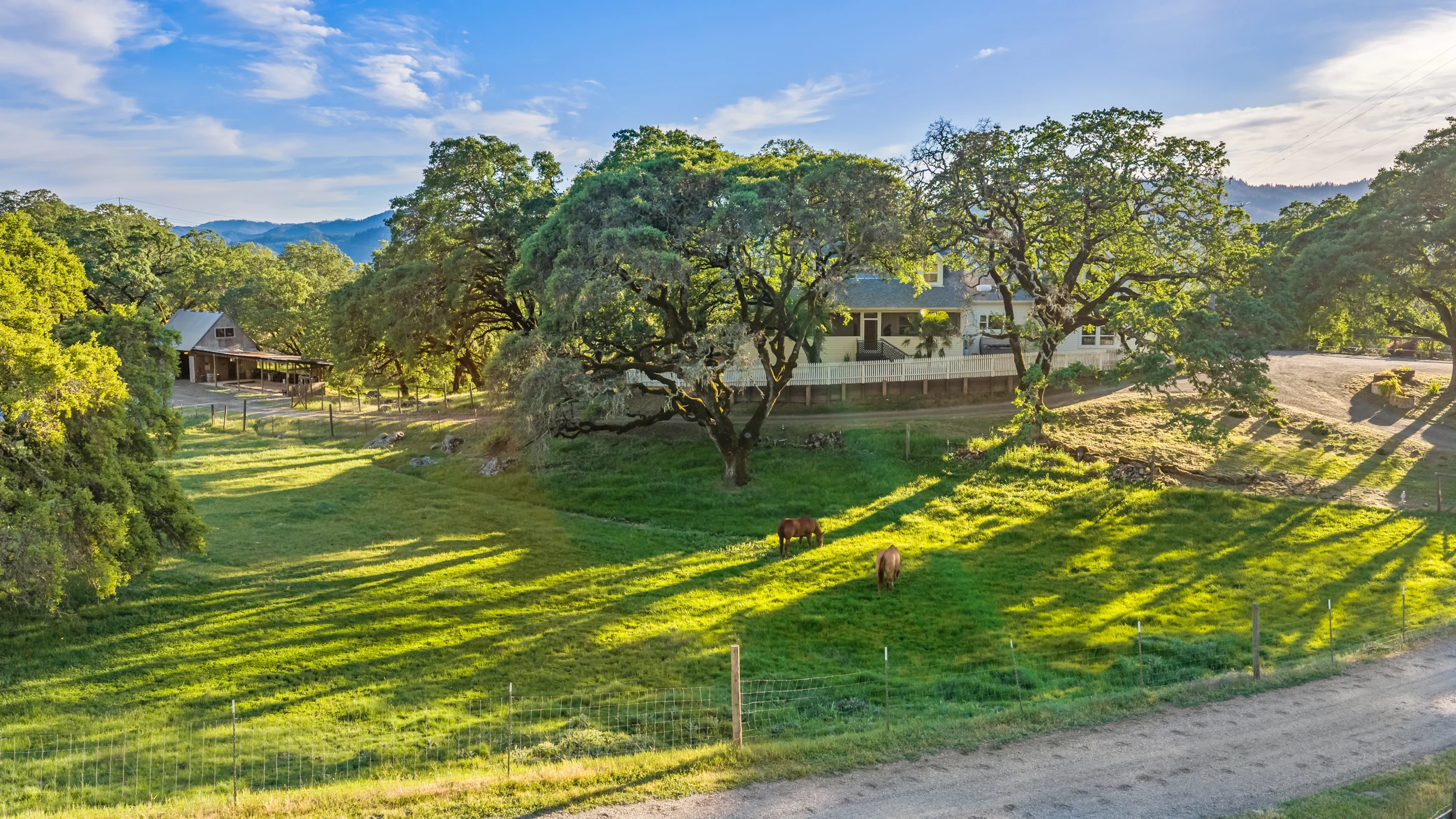 Wander Alexander Valley #122