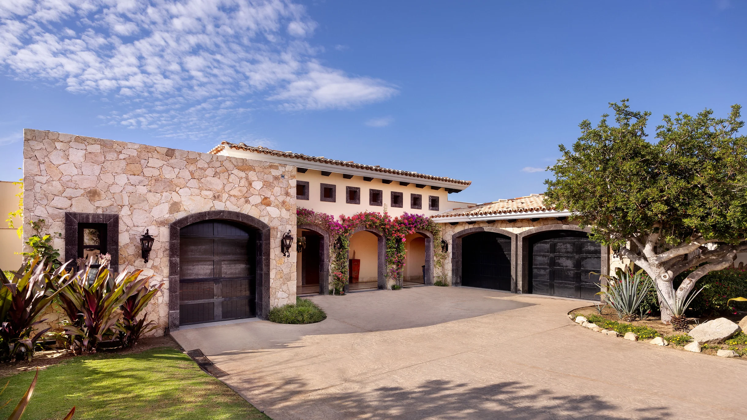 Wander Cabo Greens #2